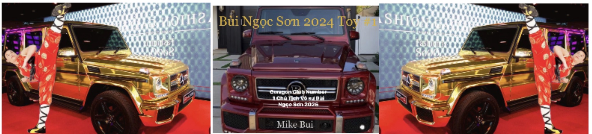 Baner Gwagon 1